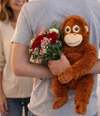 Cuddle Monkey