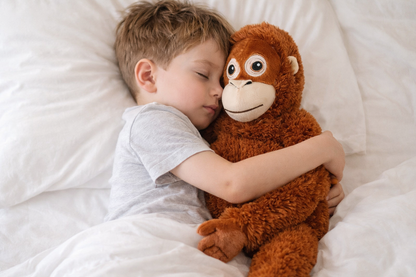 A companion for peaceful sleep.